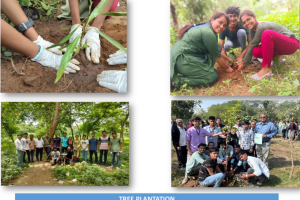 SDG6-6